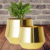 Luxurious look Gold Plated metal plant pot , modern and elegant Look set of 2