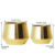Luxurious look Gold Plated metal plant pot , modern and elegant Look set of 2