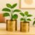 71lD77M8CoL._SL1500_ 2 Pack Metal Plant Pots (6 inch, 7 inch L), Indoor Small Planter Flower Pots, Home Garden Decor