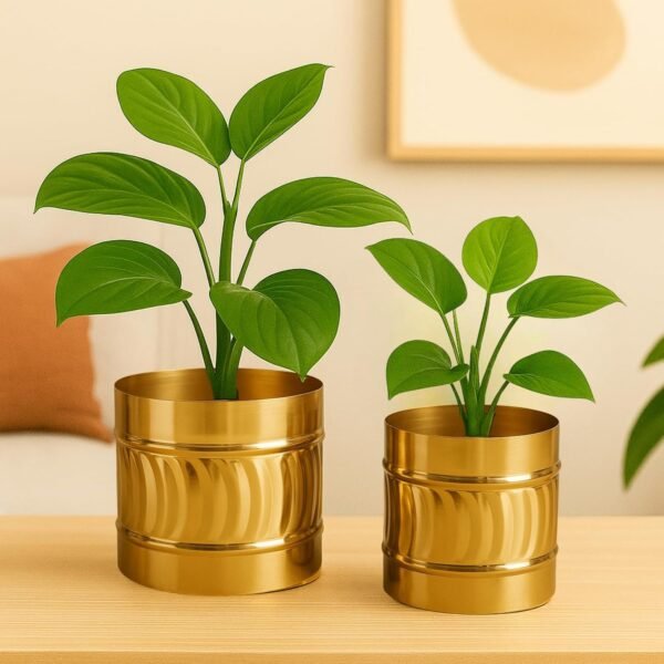 71lD77M8CoL._SL1500_ 2 Pack Metal Plant Pots (6 inch, 7 inch L), Indoor Small Planter Flower Pots, Home Garden Decor