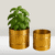 71yD3mHo5HL._SL1500_-removebg-preview 2 Pack Metal Plant Pots (6 inch, 7 inch L), Indoor Small Planter Flower Pots, Home Garden Decor