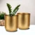 Gold Metal Plant Pot for Home Decor