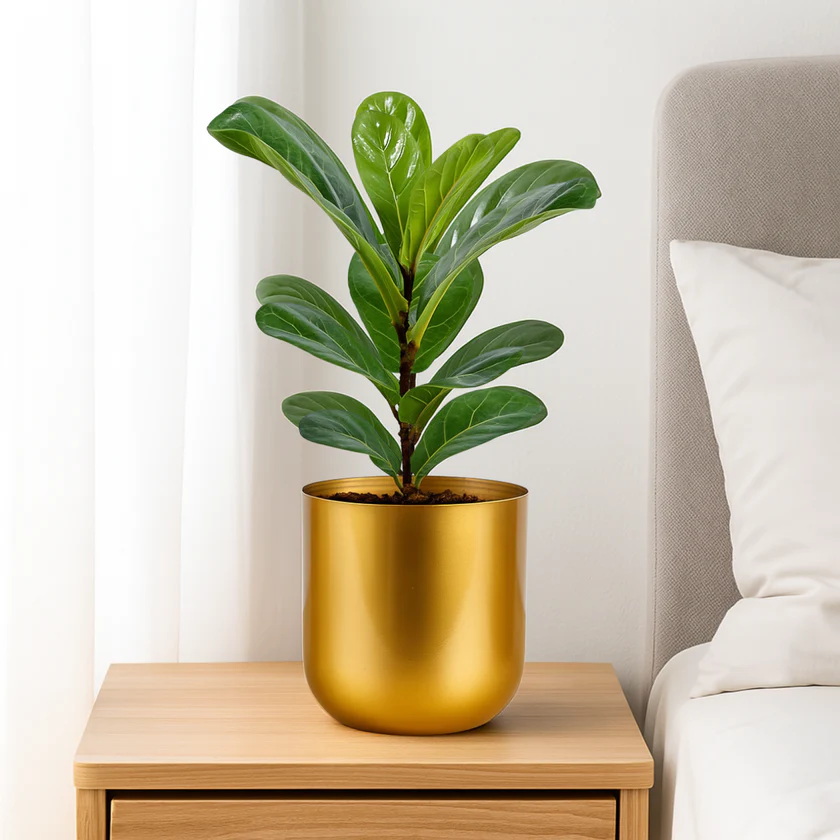 Gold Metal Plant Pot for Home Decor