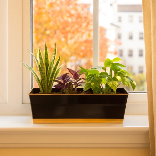 POT042-BLK-removebg-preview Black Coloured Designer 16 Inches Rectangular Metal Plant Pot for Home Decor