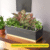 Black Coloured Designer 16 Inches Rectangular Metal Plant Pot for Home Decor