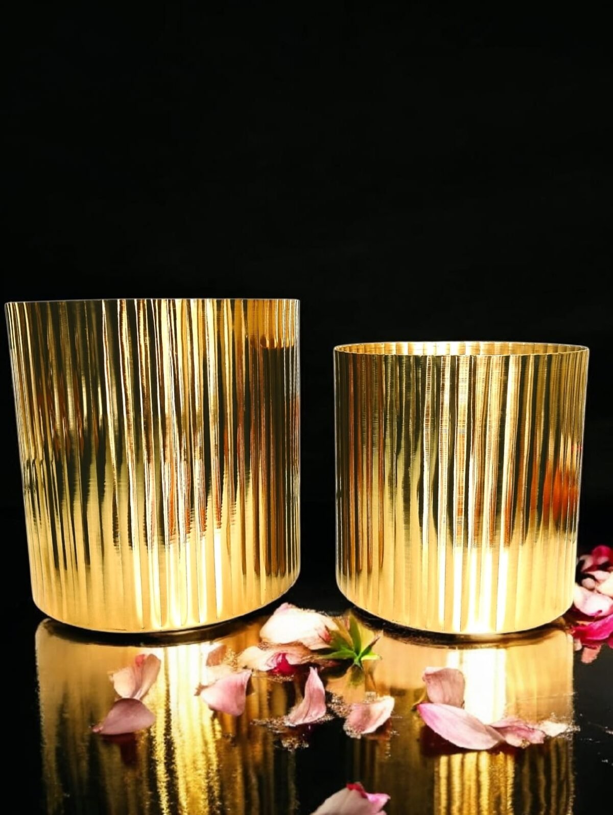 WhatsApp Image 2026-02-04 at 11.52.11 (1) Gold Plated 2 Pack Metal Plant Pots (6 inch, 7 inch L), Indoor Small Planter Flower Pots