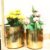 WhatsApp Image 2026-02-04 at 11.52.12 Gold Plated 2 Pack Metal Plant Pots (6 inch, 7 inch L), Indoor Small Planter Flower Pots